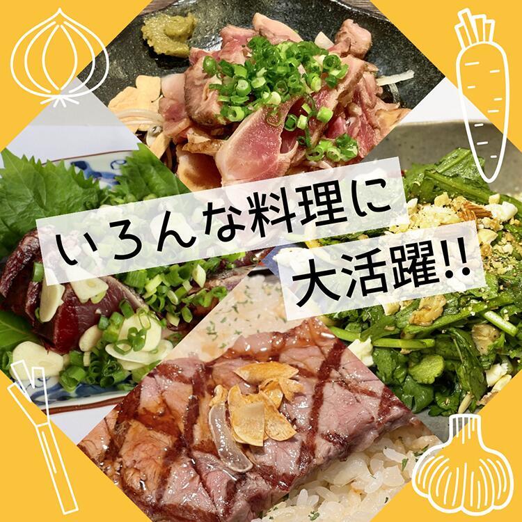 �ڥ����ץ󥻡�����ʡۥա��ɥ���åѡ� Quick Veg �����å��٥� �ա��ɥץ����å��� ��ư Υ���� �Ļ��� �� �դ� 1��3�� �ߥ����� �ߤ����ڤ�� �֥����� ��� �դ� �ա��ɥ��å��� ����ѥ��� �ߥ�� RS-HY-297