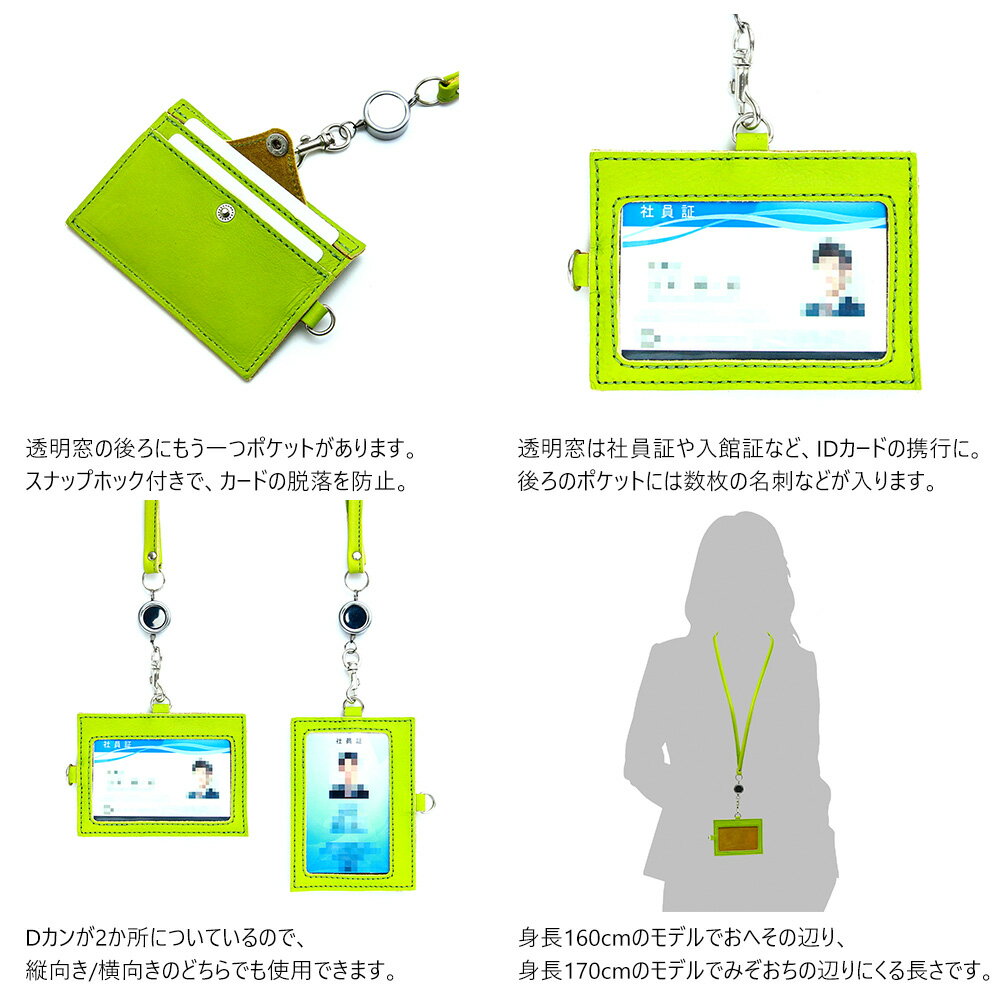 『リールIDホルダー』(全7色)モウリス/【リール付き IDカードケース のびる 本革 レザー レディース IDホルダー 】【AGILITY affa(アジリティアッファ)】(0964)