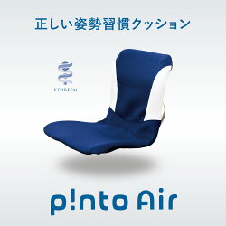 全2色正しい姿勢の習慣用座布団クッション（pintoAir）ピントエアー