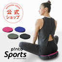 p!nto SPORTS 体幹筋を目覚めさせる 3次元形状・最軽量クッション ピントスポーツ 正しい姿勢習慣（pinto sports）【…