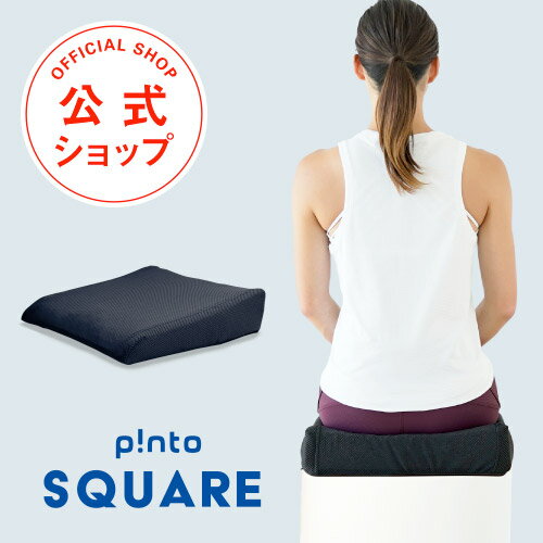 p!nto SQUARE 体幹の土台を作る3次元形状クッション ピントスクエア 正しい姿勢習慣（pinto square）【クッション 疲労 骨盤 姿勢 猫背 椅子 イス チェア デスクワーク 腰 肩 座布団 丸洗い 洗える 樹脂 腰痛 オフィス】