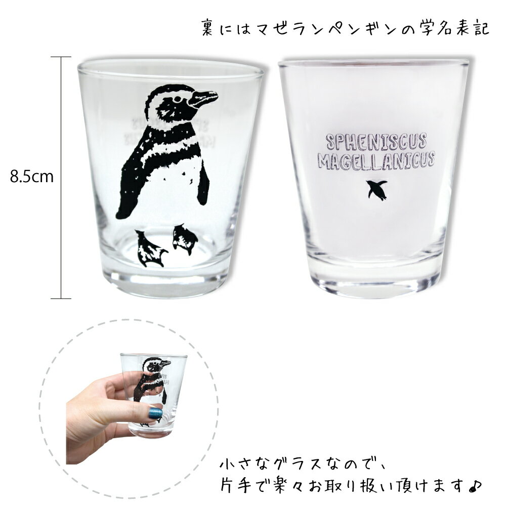 店内全品ポイント10倍！■ アニマルグラス マゼランペンギン☆約200ml☆【グラス コップ ガラス かわいい おしゃれ かっこいい おすすめ 人気 プレゼント ギフト ペンギン 水族館 男子 女子 大人 子供 日本製 おみやげ】