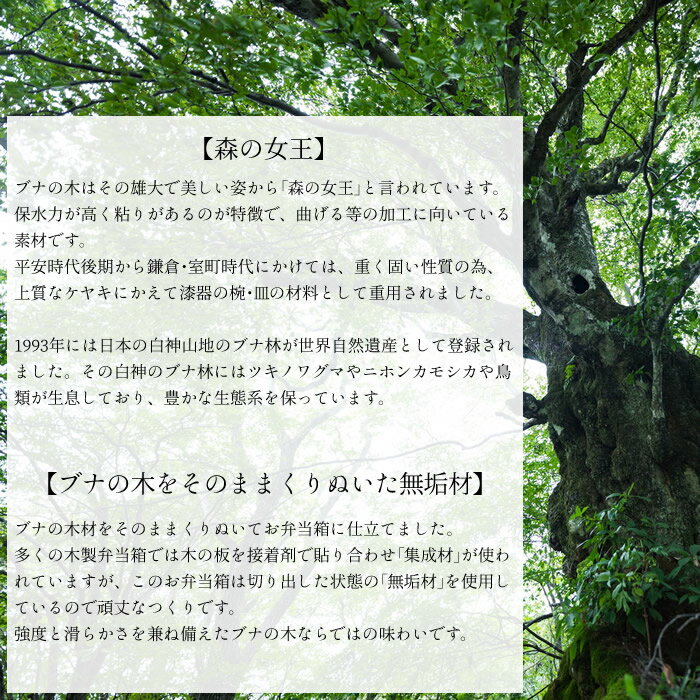 お弁当箱 弁当箱 1段 おしゃれ 送料無料 【お食い初めセット_1】 かわいい 曲げわっぱ 天然 木 木製 木蓋 ランチボックス 北欧 プレゼント 入園 入園グッズ 小学生 中学生 高校生 男の子 女の子 洗いやすい