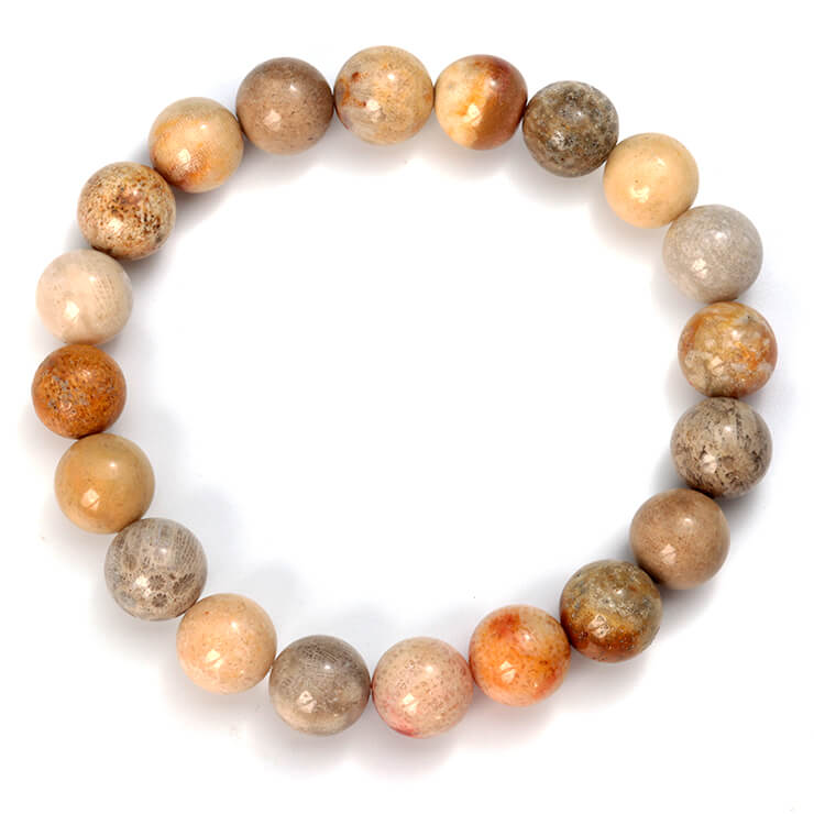 フォシルコーラル 10mm シンプル ブレスレット/ 魔除け 厄除け ブラウン かに座 運気 性別 3月 メンズ マルチカラー 癒し シンプル 星座石 誕生石