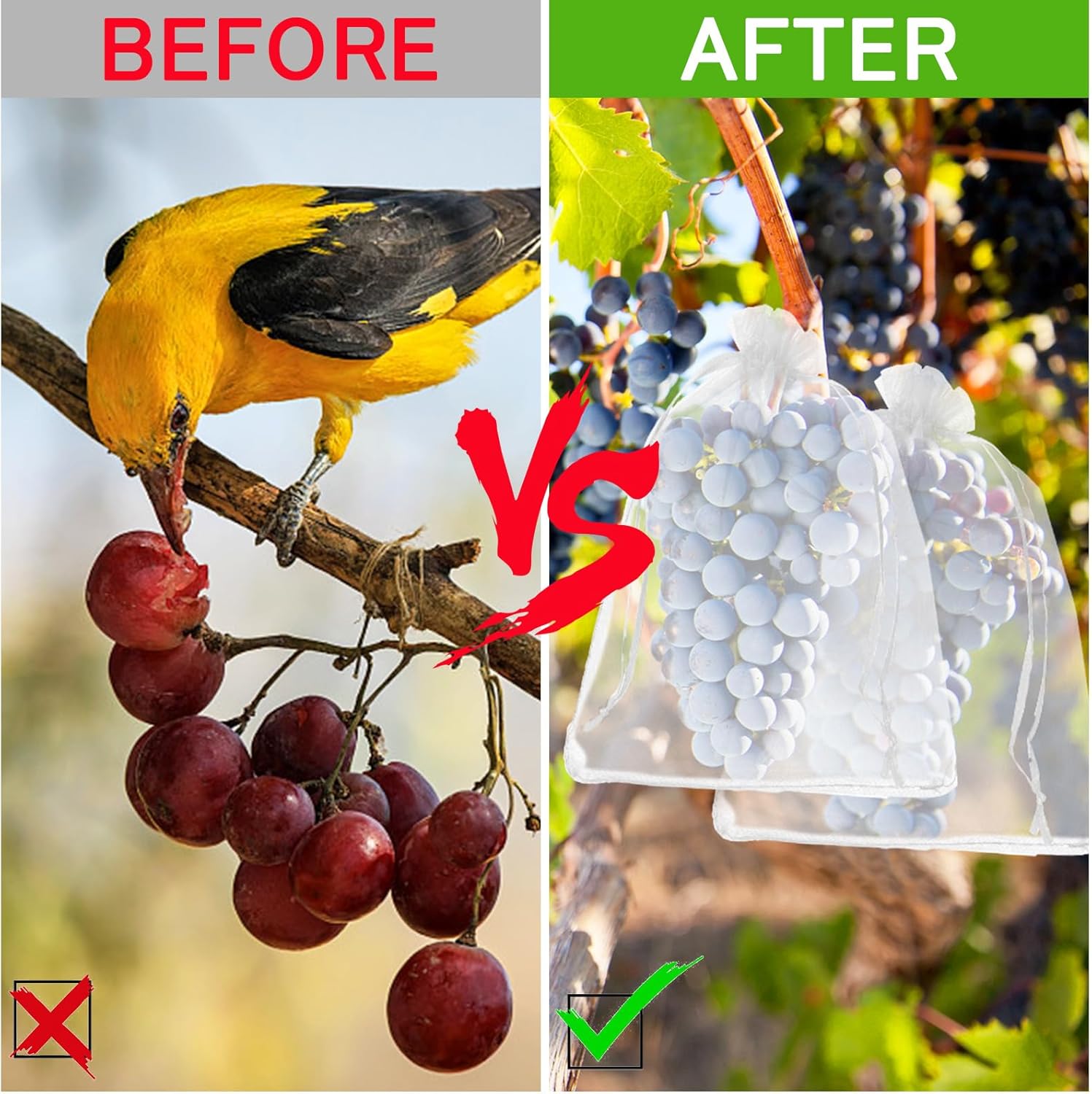 ��ʪ�� 60��/100�� �̼��� ����ͥå� ��Ļ�ͥå� ��ʪ �ݸ�Хå� �ݸ�ͥå� ���� ȷ�褱�ͥå� �Ӥ� �� �֤ɤ� ������