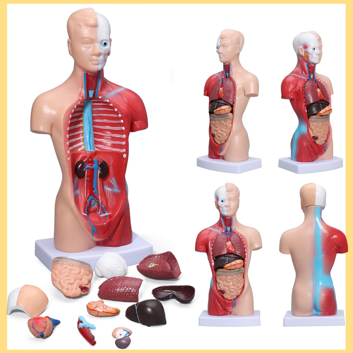 �ޥͥ��� �ʹ֤�ƹ�Τβ�˶��Ū��ǥ� 15�Ĥμ�곰����ǽ�ʥѡ��� ��¡ ��¡ Ǿ �����դ� ��������ع��βʳ� ��ض����ѥǥ����ץ쥤 28cm