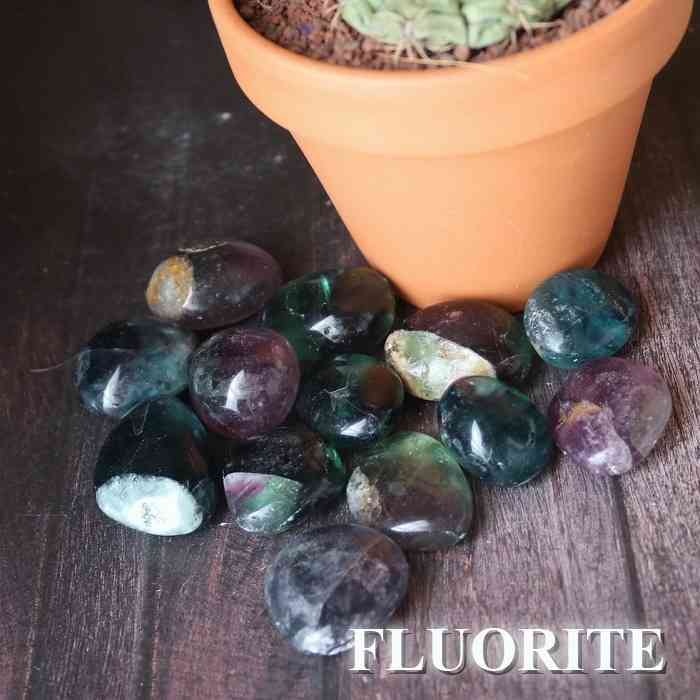 マルチカラー フローライト タンブル Sサイズ 1個 Fluorite 浄化 インテリア 蛍石 天然石 パワーストーン 置物 石 Stone 開運 インテリア 鉱石 天然石 多肉植物 植物 化粧石 敷石 緑 青紫 pasmii