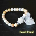 フォッシルコーラル デザイン ブレスレット 星 天然石 ブレスレット レディース メンズ 癒し 天然石ブレスレット プレゼント 贈り物 癒しの石 母の日