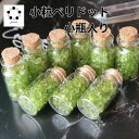 高品質 小瓶入り 小粒 ペリドット 1本 さざれ石 浄化 インテリア 8月誕生石 プレゼント オルゴナイト プレゼント 贈り物 夫婦愛 ちょい足し はに タンザ...