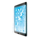 【即納】エレコム iPad 10.2 2019年モデル/保護フィルム/ブルーライトカット/反射防止 TB-A19RFLBLN