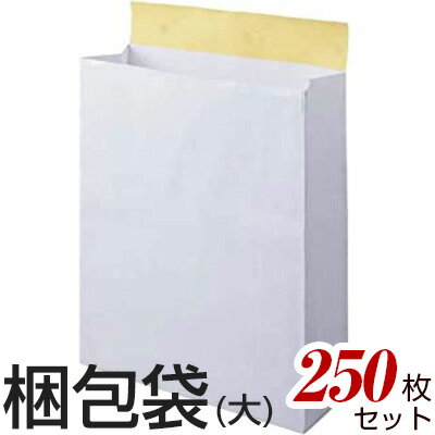 梱包袋 配送袋 宅配袋 250枚セット 大サイズ 横320mm×奥行（マチ）110mm×高さ400mm シール付き 無地 白 梱包用袋 梱…