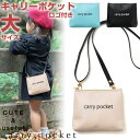 キャリーポケット carry pocket ロゴ ポーチ 肩掛けベルト付き 鞄 子供用 バッグ 小物入れ Lサイズ 男の子 女の子 ゴム ベルト 低学年 高学年 幼稚園 保育園 小学校 入学 入園 移動ポケット マスク入れ マスクポーチ ハンカチ入れ ハンカチポーチ タオル入れ 1