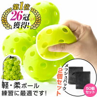 野球ボール バッティング 練習用 ボール 穴あきボール 50個セット 専用メッシュバ...