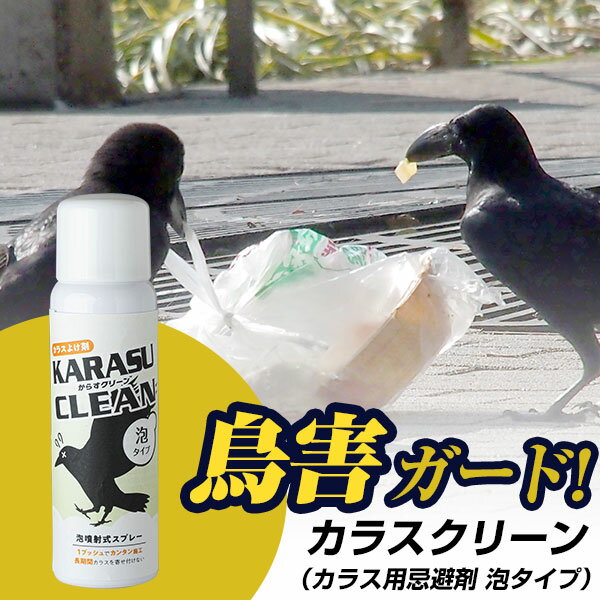 ふじわら アイオウル BW-08-100 防鳥用ワイヤ ステンレスナイロンコートワイヤー 黒 100m BW08100