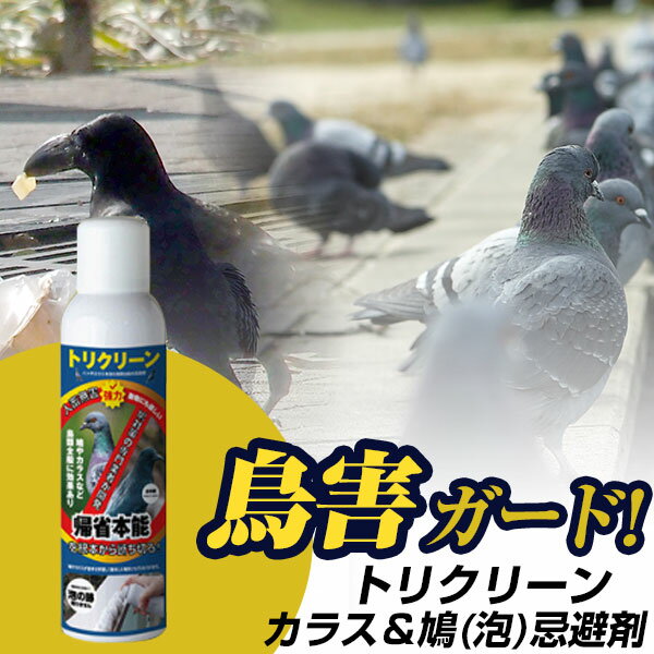 送料規定・納期はこちらでご確認下さい。 ご注文処理の状況によりキャンセルや、 ご注文内容修正へご対応出来ない場合がございます。 【主な特長】 ハトはかわいい見た目とは裏腹に 一度餌場や安全な場所と認識すると、 鳩のたまり場になる事が。 マンションのベランダなどが鳩のたまり場になった時に、 鳩の糞が悪臭を発したり、景観的にも良くない状態に。 カラスは生ごみの集積場所などに現れる事が多い。 鳥類でも頭脳が発達しており、ゴミ袋を破いて中身を散らかします。 こちらも非常に迷惑な害鳥です。 CASE1：ベランダ/軒先 跡が残りにくい仕様ですので、 ハイツやマンションなど賃貸でも気にせず使用する事が出来ます。 CASE2：ごみ集積所・公共の場所 跡が残りにくい泡タイプ。 収集所周りや公共のゴミ箱の周辺などカラスが荒らしそうな場所の周辺に散布をオススメします。