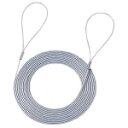 サンワサプライ eセキュリティ(3.0M2.2mm) SLE-11W-3