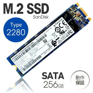  PCѡ  SanDisk  ¢ M.2 type 2280 M.2 SATA SSD 256GB  ǥ SANDISK X600 X400 ꡼
