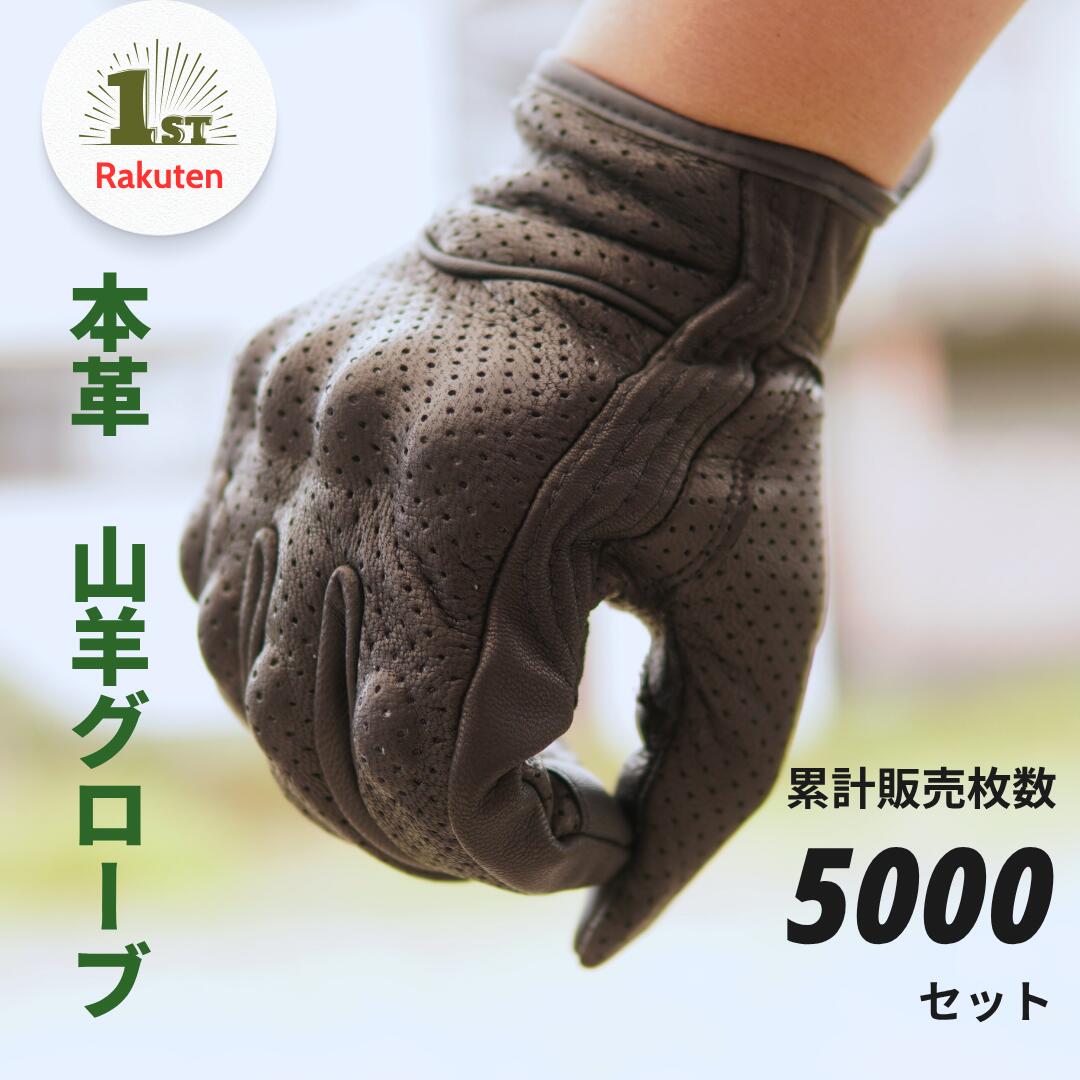 【楽天1位】 Tranform(トランフォーム)