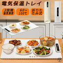 電気保温トレイ 食品保温プレート 折りたたみ式 ホットプレート 3段階の温度設定 60℃/80℃/100℃ 多機能食品断熱ボード フードウォーマー ホットプレート 収納袋付き お手入れも簡単 ケータリング ホームディナー用食品保温ボード