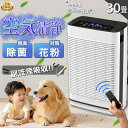 【2年保証】2025新品 空気清浄機 空気清浄器 20畳 30畳 花粉対策 タバコ PM2.5 ダニ UV消毒 除菌 脱臭 ハウスダスト ほこり ィルター 空気清浄 ホコリ ペット向け ペット臭 犬 猫 脱臭強化 12Hタイマ 3段階調整 HEPAフィルター 静音 省エネ スリープモード 除湿なし
