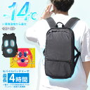 【在庫限り】【2000円OFFクーポン】サンコー ペルチェで冷却リュッククーラー クーリュック2(熱中症対策 冷却グッズ 暑さ対策 涼しい リュック 冷却 暑い...