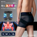 【300円OFFクーポン】【選べる特典付】骨盤サポートパンツ PELVISMAKE PANTS( メンズ インナー ダイエット サポート 骨盤 姿勢 補正下着 骨盤補正 骨盤矯正 骨盤ベルト サポーター ベルト 骨盤サポート )【送料無料 ポイント10倍】【3/3】【:299】