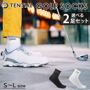 選べる2足セット　TENTIAL　GOLF　SOCKS　S〜Lサイズ（テンシャル　靴下　足　アーチ　サポート　ゴルフ　防菌　防臭　足袋　ソックス　スイング　日本製　ヴィクトリアゴルフ）【メール便送料無料】