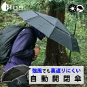 【200円OFFクーポン】ハス 晴雨兼用 耐風 S/AOC Dキャノピー ストロング 2 折りたたみ傘 (HUS. D.Canopy Strong II ハイマウント 軽量 ユニセックス 男女兼用 折り畳み傘 UVカット 自動開閉 散風システム 高品質 日傘)【送料無料 】