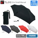 クニルプス TS.010 折り畳み傘 スリム スマート マニュアル（Knirps Slim Smart Manual 52cm コンパクト 軽量 雨傘 丈夫 メンズ 折りたたみ傘 頑丈 ギフト）