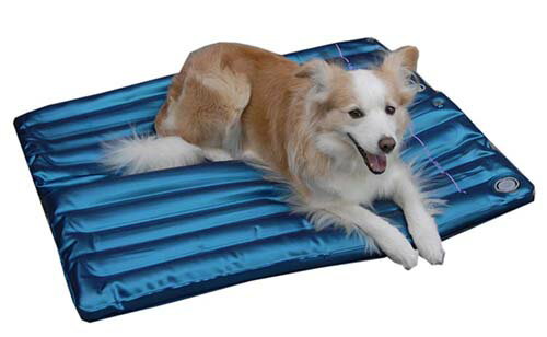 Dogs ウォーターベッド 2l 犬用品 布カバー付 犬の介護 犬の床ずれ 犬の体圧分散 熱中症予防 犬の体圧分散 犬の介護 犬用エコクールなマット 犬用ひんやりマット 猛暑対策 円が15 Offの円 パセル 店介護 床ずれ 体圧分散 熱中症