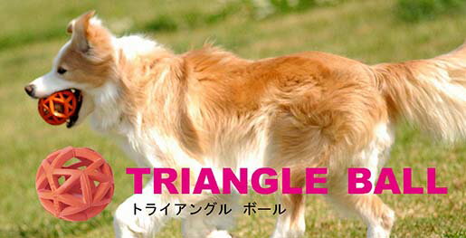 �ȥ饤���󥰥롡�ܡ���