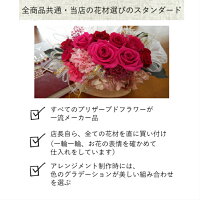 全商品スタンダード