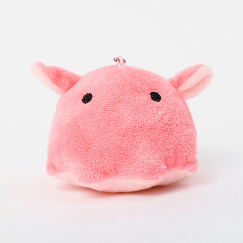 パステルオンラインストアのマスコットキーホルダー キーホルダー ぬいぐるみ マスコット グッズ 動物 アニマル 通園 通学 学校 旅行 お出かけ 遠足 かわいい 可愛い おしゃれ 誕生日 ギフト プレゼント めんだこさん｜アングル3