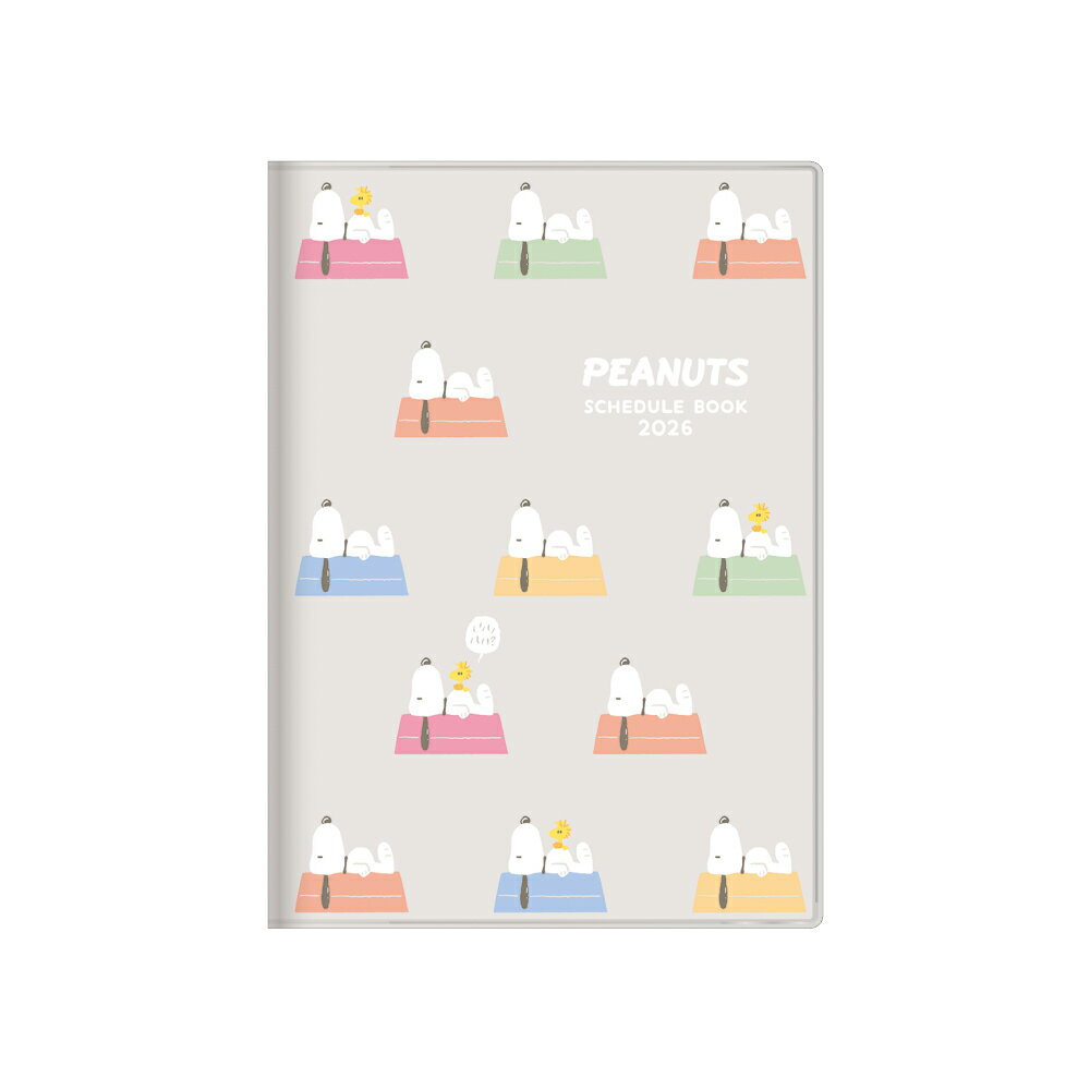 ̡ԡ  B6 С ɥåϥ 2026ǯ 塼Ģ Ģ 2026ǯ 