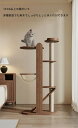 キャットタワー 木製 大型猫 キャットタワー 猫タワー 大型猫用 ねこハウス 木製 多頭飼い 10 CM粗純木つかみ柱 キャットタワー 人気 キャットタワー 大...