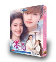 中国ドラマ 中国語 日本語字幕付き 「墨白〜ゲーム世界から始まる恋〜」中国版 DVD-BOX チャン・シュエイン(張雪迎)、ビー・ウェンジュン(畢??)主演 全...