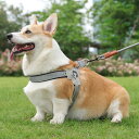 350円OFFクーポン 犬 ハーネス 小型犬 中型犬 かわいい おしゃれ 犬用 胴輪 犬ハーネスリードセット 負担が少ない 抜けない 犬具 しっかりロック メッシュ 抜けにくい 簡単装着 イヌ ドッグ いぬ お出かけ 散歩 外出 通院 ペット 服 XFDGZ(4)