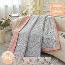 1630円OFFクーポン 【 お昼寝ケット 】 2重 ガーゼケット お昼寝サイズ 約150×200cm ベビーケット ブランケット ハーフケット キッズサイズ ...