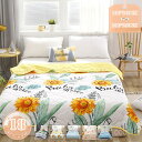 500円OFFクーポン 掛け布団 夏ふとん 肌掛け布団 洗濯機OK 単品売り 夏布団 夏掛け布団 冷房対策 通気性いい 洗いざらし 夏用 肌布団 夏用 掛け布団...