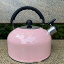 750円OFFクーポン やかん 大容量 笛吹きケットル 茶こしアミ付 広口 すぐ沸く ケトル ステンレス製 ハンドル ガス火対応 おしゃれ 調理器具 湯沸かし ...