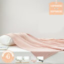 300円OFFクーポン ガーゼケット 3重ガーゼケット セミダブル 140×200cm 綿100% 3重ガーゼ 夏掛け 肌掛け 涼感 吸水 通気性 洗える ガー...