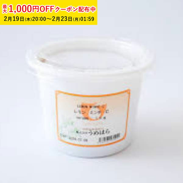 レモンミンチC 1000g 1袋入 うめはら ドライフルーツ お菓子作り フルーツ加工品 TIP026-1