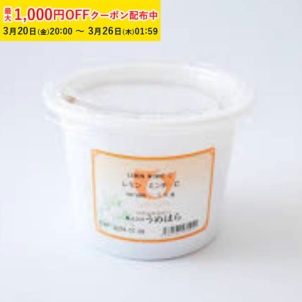 【最大1000円OFFクーポン! 】レモンミンチC 1000g 1袋入 うめはら ドライフルーツ お ...