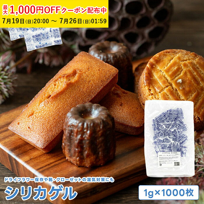 シリカゲル 1g 1000枚入 乾燥剤 食品用 お菓子 食品用乾燥剤 食品用シリカゲル 乾燥剤シリカゲル カメラ 燥剤 除湿 調湿 業務用 電化製品 silicagel ラッピング用品 YBB001-1000