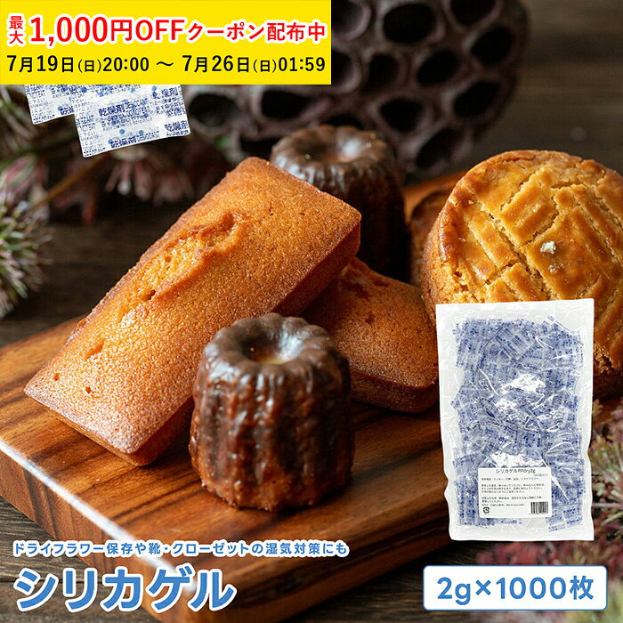 シリカゲル 2g 1000枚入 乾燥剤 食品用 お菓子 食品用乾燥剤 食品用シリカゲル 乾燥剤シリカゲル カメラ 乾燥剤 除湿 調湿 業務用 電化製品 silicagel ラッピング用品 YBB002-1000