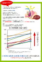 ≪新発売≫パタカラ プレミアム 親子セット いびき防止 鼻 矯正 マウスピース 口輪筋 口呼吸 口を閉じる力アップ 舌の筋肉 器具 グッズ パタカラ体操 鼻呼吸 口呼吸防止 いびき キッズ 子ども 幼児向け 舌 トレーニング 予防 対策 3