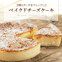 ベイクドチーズケーキ 4号 チーズケーキ 敬老の日 スイーツ ギフト プレゼント ケーキ 洋菓子 Patico 【a】