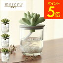 メルシーユー アロマグッズ 【あす楽14時まで対応 】mercyu リードディフューザー メルシーユー Nordic Collection MRU-91 / 1ヶ月 スティック アロマディフューザー フレグランス ルームフレグランス 玄関 リビング 多肉植物 芳香 おしゃれ 誕生日プレゼント 女性 プレゼント