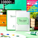 全品ポイントUP中!送料無料 ハンズ カタログギフト カードタイプ from hand to hand 10800円コース sole ソーレ / hands カ...