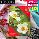 旅行カタログギフト jtb 旅ギフト 結婚祝い 旅行券 1万円 送料無料 JTB たびもの撰華 椿(つばき) 体験型カタログ(温泉 体験 グルメ 雑貨 )両親 旅行 プレゼント ペア/ 内祝いお返し 還暦祝い 引出物 返礼品 写真入りメッセージカード 誕生日プレゼント cj gws お中元 cpj